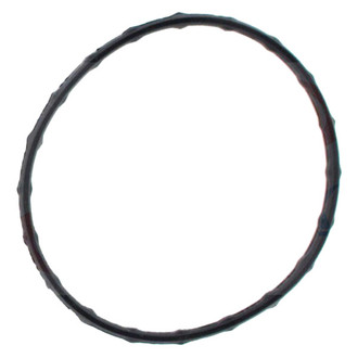 Apex Auto® - Engine Coolant Thermostat Seal