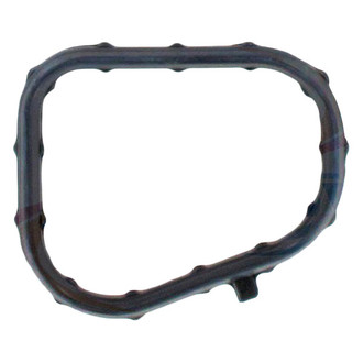 Apex Auto® - Engine Coolant Thermostat Seal