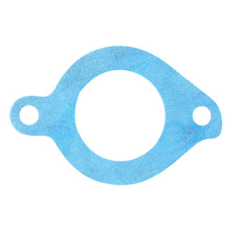 Apex Auto® - Engine Coolant Thermostat Seal