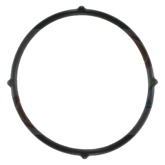 Apex Auto® - Engine Coolant Water Outlet Gasket