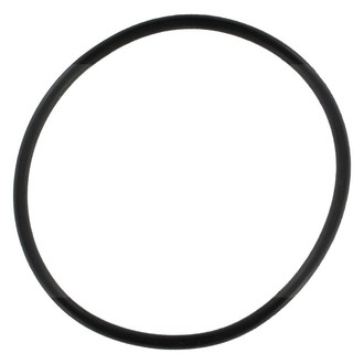 Apex Auto® - Engine Coolant Thermostat Seal