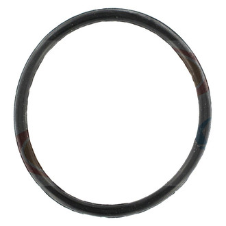 Apex Auto® - Engine Coolant Thermostat Seal