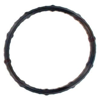 Apex Auto® - Engine Coolant Thermostat Seal