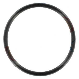 Apex Auto® - Engine Coolant Thermostat Seal