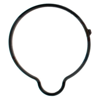 Apex Auto® - Engine Coolant Thermostat Seal