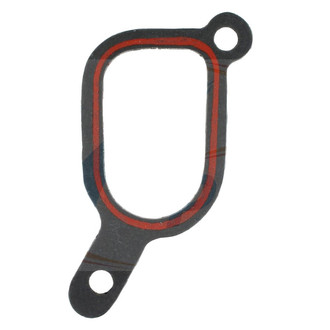 Apex Auto® - Engine Coolant Water Outlet Gasket