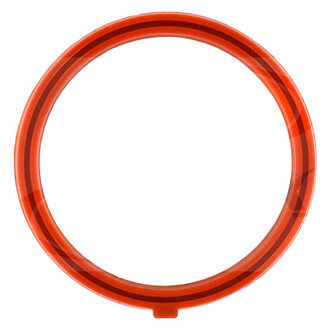 Apex Auto® - Engine Coolant Thermostat Seal