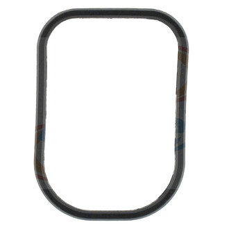 Apex Auto® - Engine Coolant Water Outlet Gasket