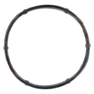 Apex Auto® - Engine Coolant Thermostat Seal