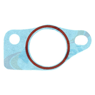 Apex Auto® - Engine Coolant Thermostat Housing Seal