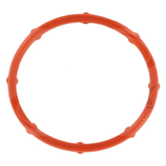 Apex Auto® - Engine Coolant Water Outlet Gasket