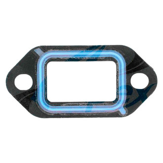 Apex Auto® - Engine Coolant Water Pump Gasket