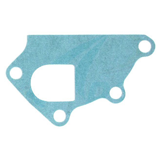 Apex Auto® - Engine Coolant Water Pump Gasket