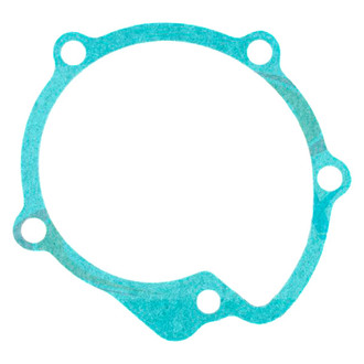 Apex Auto® - Engine Coolant Water Pump Gasket