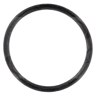 Apex Auto® - Engine Coolant Water Pump O-Ring