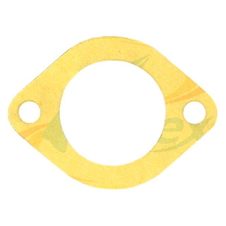 Apex Auto® - Engine Coolant Water Pump Gasket