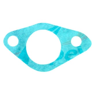 Apex Auto® - Engine Coolant Water Pump Gasket