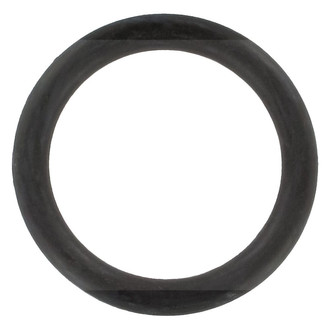 Apex Auto® - Engine Coolant Water Pump O-Ring