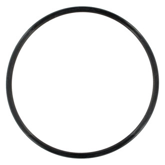 Apex Auto® - Engine Coolant Water Pump O-Ring