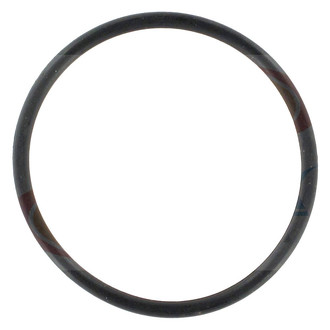 Apex Auto® - Engine Coolant Water Pump Gasket