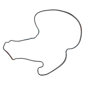 Apex Auto® - Engine Coolant Water Pump Gasket