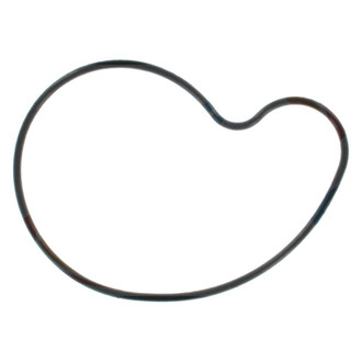 Apex Auto® - Engine Coolant Water Pump Gasket