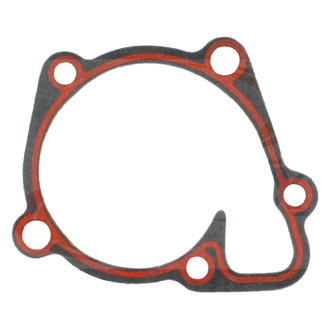 Apex Auto® - Engine Coolant Water Pump Gasket