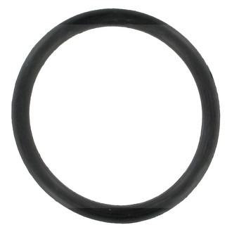 Apex Auto® - Engine Coolant Water Pump Gasket