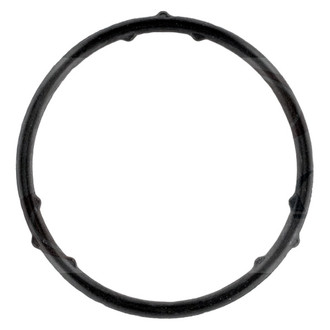 Apex Auto® - Engine Coolant Water Pump O-Ring