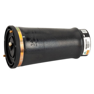 Arnott® - Rear Driver or Passenger Side Air Spring