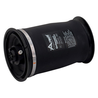 Arnott® - Rear Driver or Passenger Side Air Spring