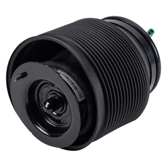 Arnott® - Rear Passenger Side Air Spring