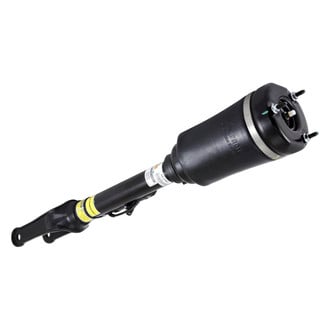 Arnott® - Front Driver or Passenger Side Air Twin-Tube Non-Adjustable Strut