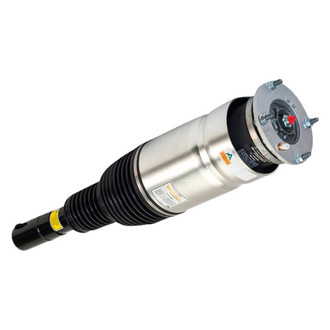 Arnott® - Front Passenger Side Air Monotube Non-Adjustable Strut