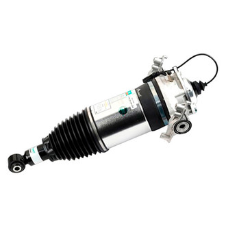 Arnott® - Rear Driver Side Air Monotube Non-Adjustable Strut