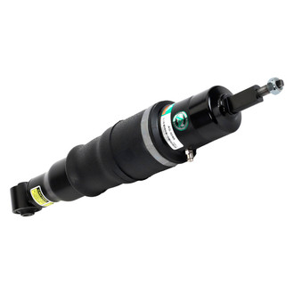 Arnott® - Rear Driver or Passenger Side Air Twin-Tube Non-Adjustable Strut