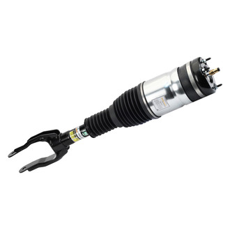 Arnott® - Front Driver Side Air Twin-Tube Non-Adjustable Strut