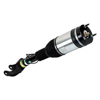 Arnott® - Front Driver Side Air Twin-Tube Non-Adjustable Strut