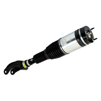 Arnott® - Front Passenger Side Air Twin-Tube Non-Adjustable Strut