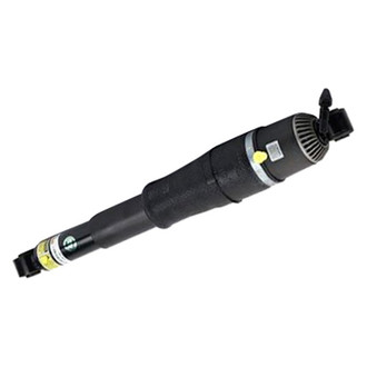 Arnott® - Rear Driver or Passenger Side Air Twin-Tube Non-Adjustable Strut