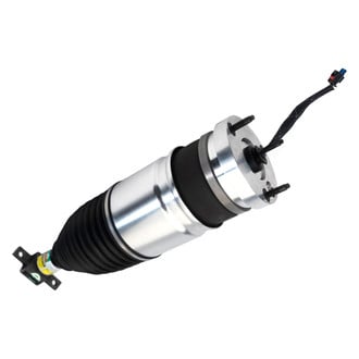 Arnott® - Front Driver or Passenger Side Air Monotube Non-Adjustable Strut