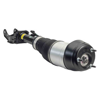 Arnott® - Front Driver Side Air Twin-Tube Non-Adjustable Strut