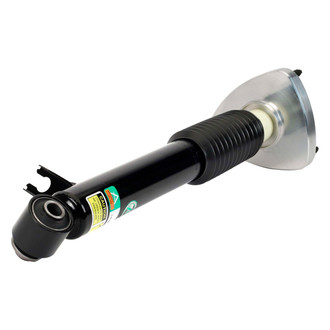 Arnott® - Rear Passenger Side Complete Strut Assembly