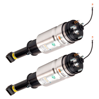 Arnott® - Front Strut Set