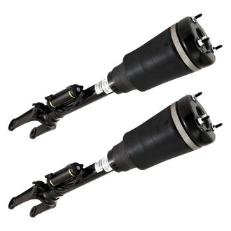 Arnott® - Front Strut Set