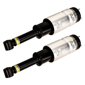 Arnott® - Front Strut Set