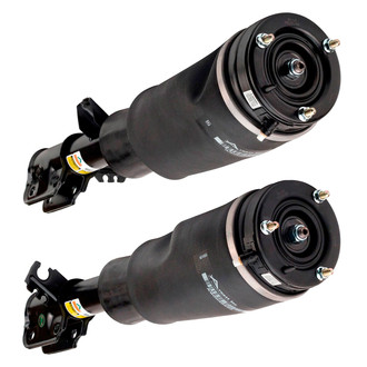 Arnott® - Front Strut Set