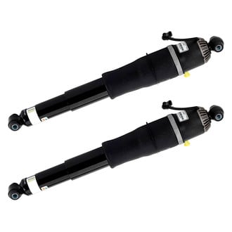 Arnott® - Rear Strut Set