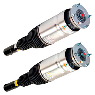 Arnott® - Front Strut Set