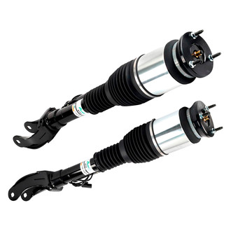 Arnott® - Front Strut Set